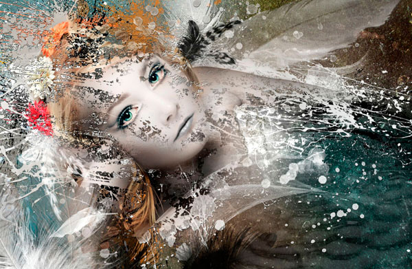 Photograph Vicki Lea Boulter Lala on One Eyeland
